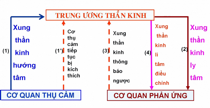 05.png