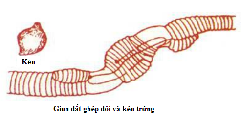 05.png