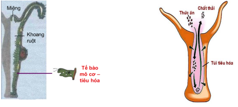 05.png