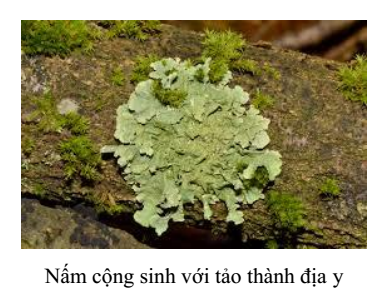 05.png