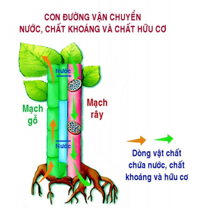 05.png