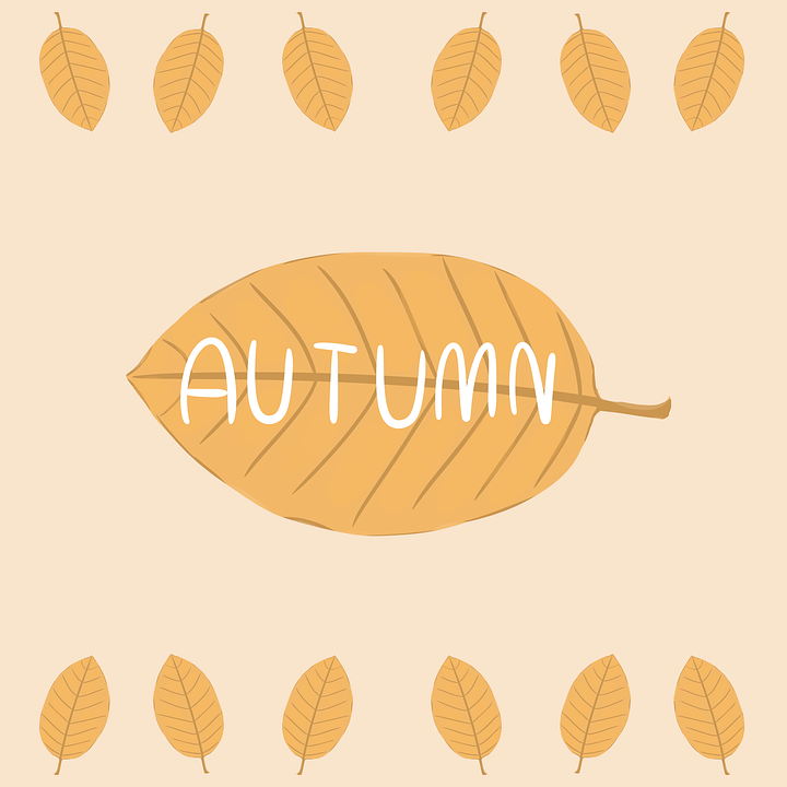 05.png