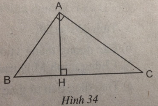 05.png