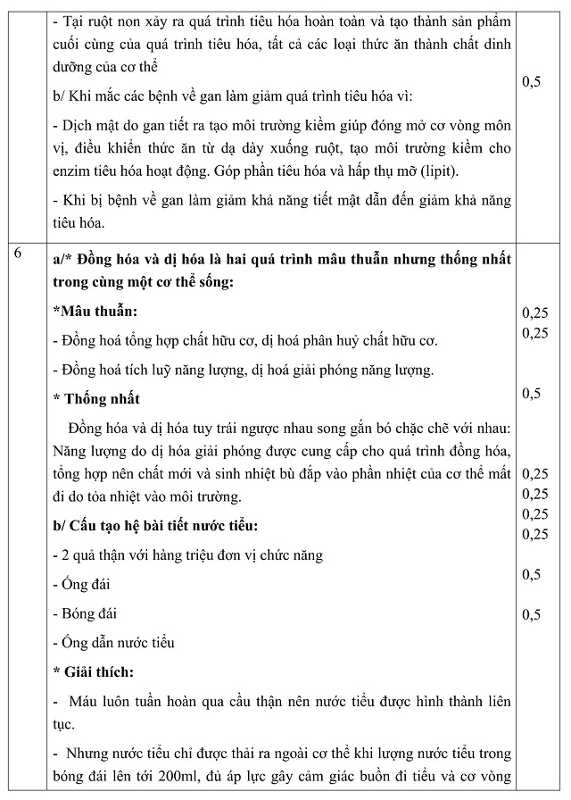 06.jpg