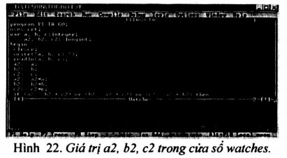 06.jpg