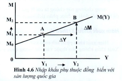 06.jpg