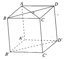 06.jpg