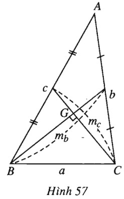06.jpg
