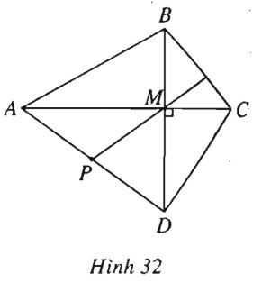 06.jpg