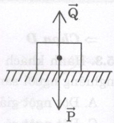 07.jpg