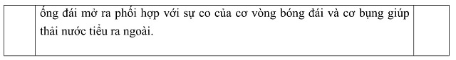 07.jpg