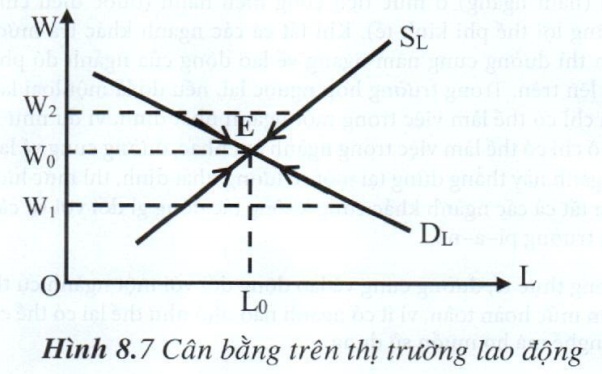 07.jpg