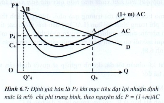 07.jpg