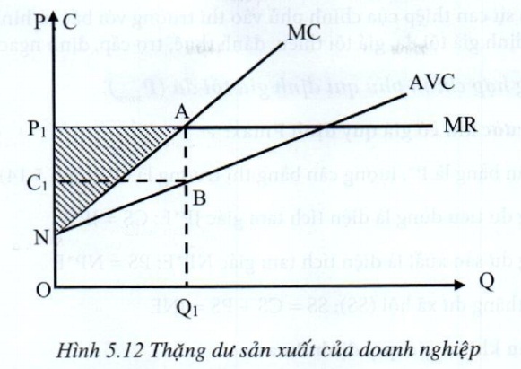 07.jpg