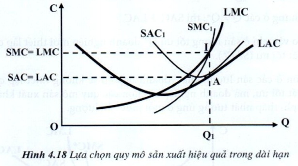07.jpg