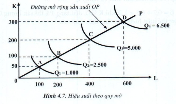 07.jpg