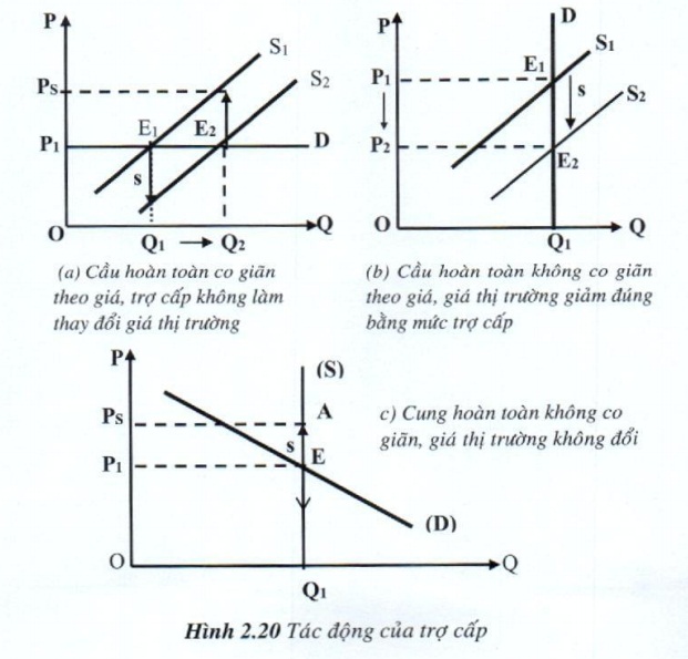 07.jpg