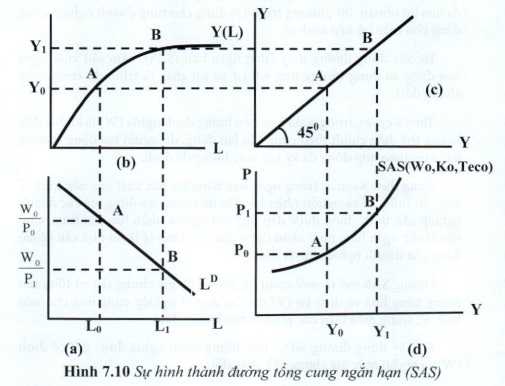 07.jpg