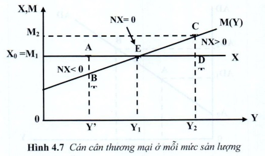 07.jpg