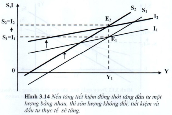 07.jpg