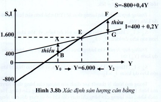 07.jpg