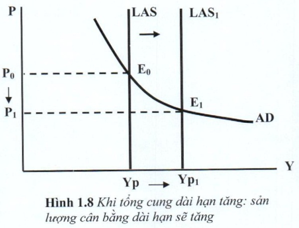 07.jpg