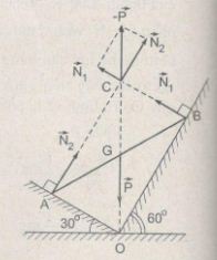 07.JPG