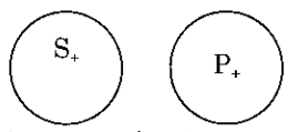 07.png