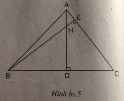 07.png
