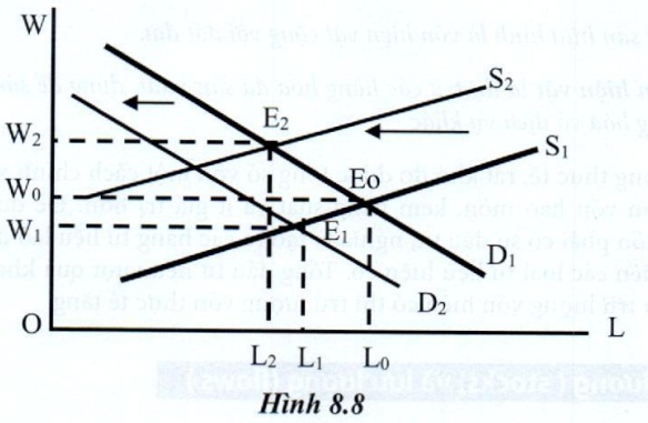 08.jpg