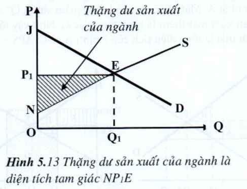 08.jpg