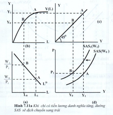 08.jpg