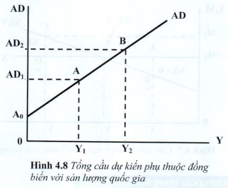 08.jpg