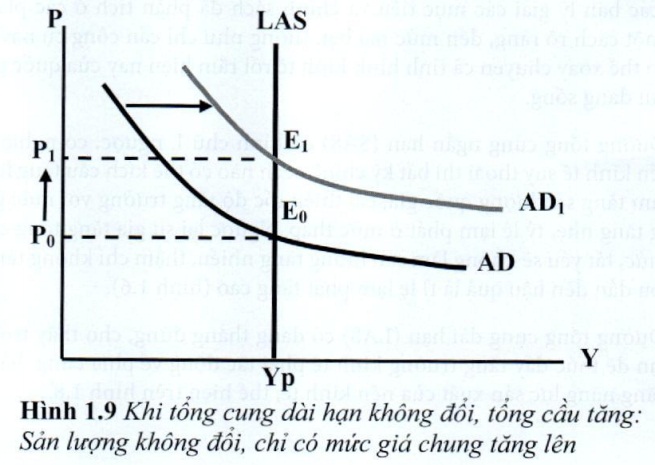 08.jpg