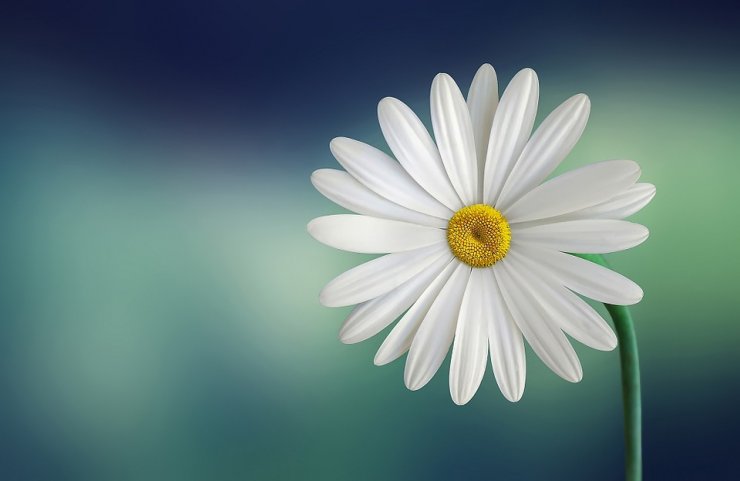 09.jpg