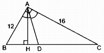 09.jpg