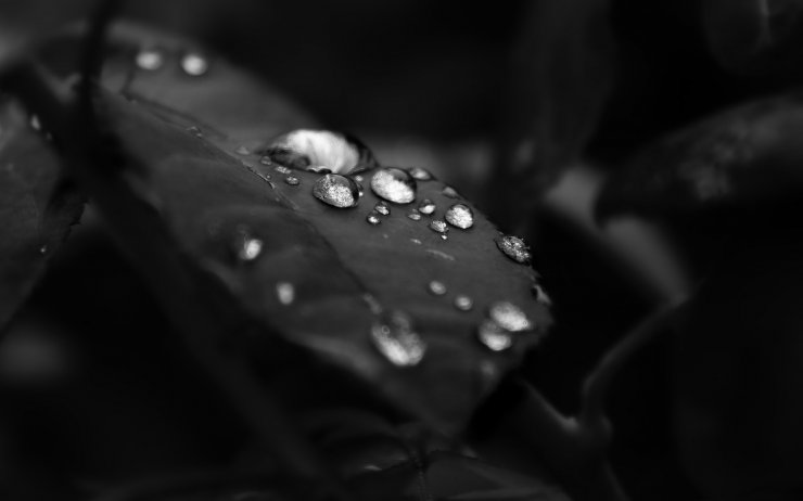 1 (208).jpg