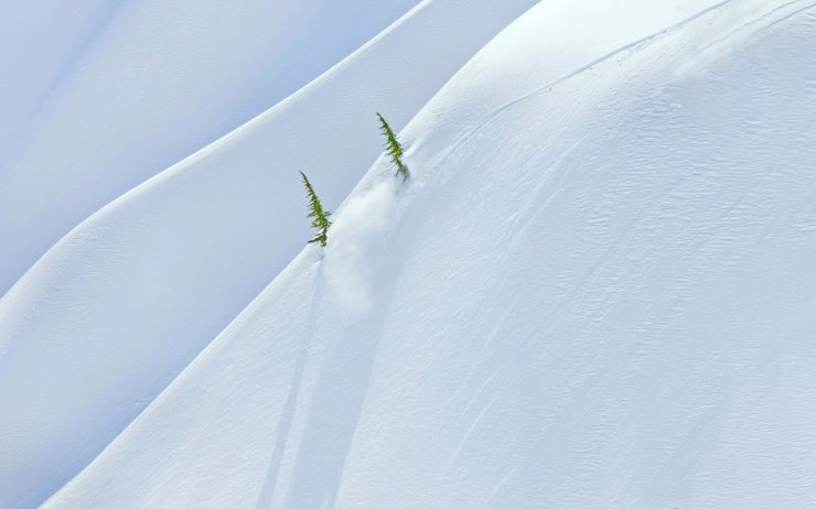 1 (273).jpg