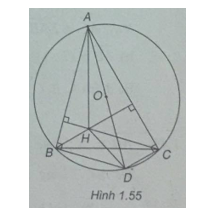 12.png