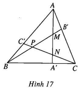 13.jpg