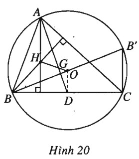 16.jpg