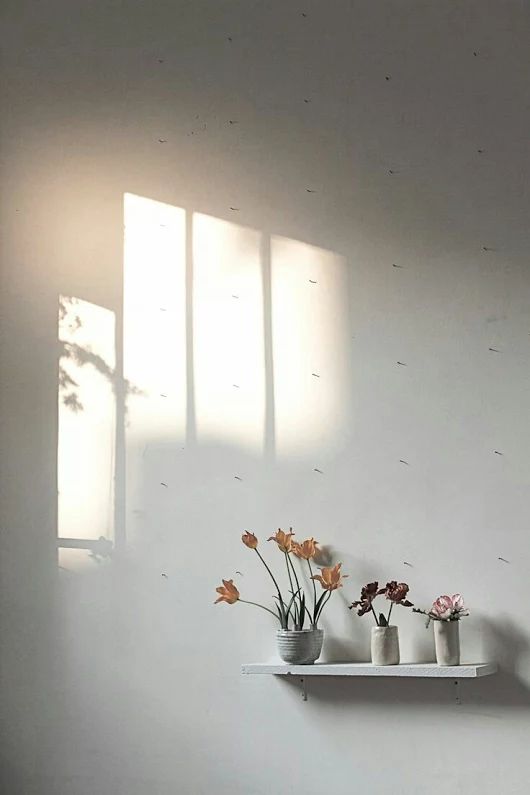18 (2).jpg