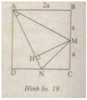 19.png