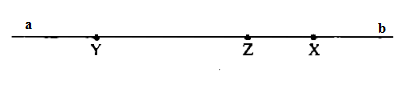 19.png