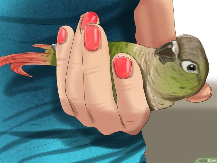 22.jpg