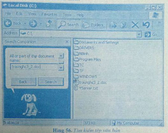 24.jpg