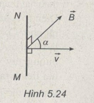 25.png