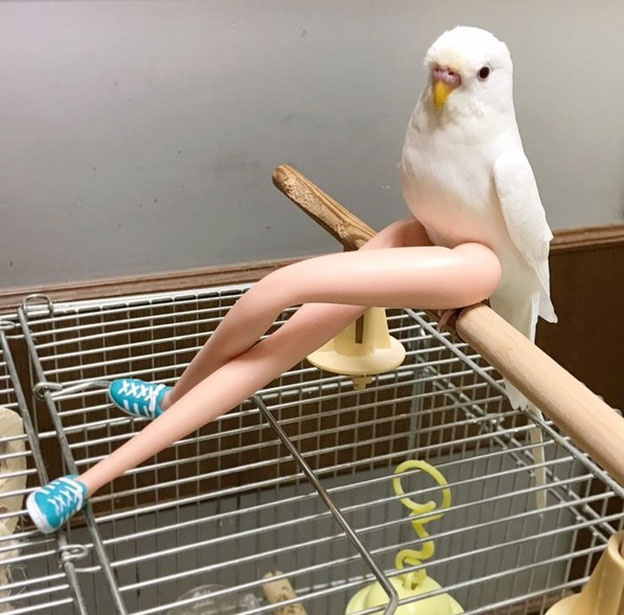 3_QWXF.jpg