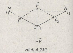 43.png