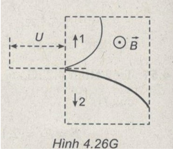 48.png